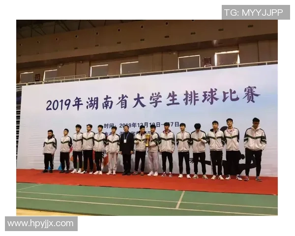 武汉排球队的成长历程：从默默无闻到辉煌荣耀的奋斗故事