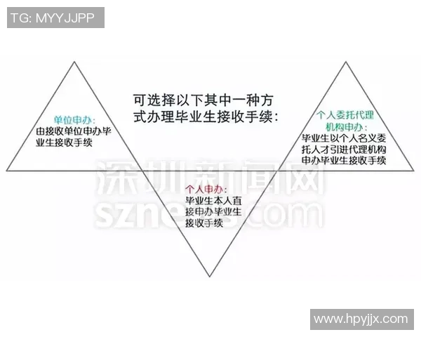 深圳极限运动队战术解析与实践探索专题分析 深圳极限运动队战术解析与实践探索专题分析